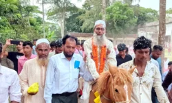 শেষ কর্মদিবসে ঘোড়ায় চড়ে রাজসিক বিদায় পেলেন পটুয়াখালীর শিক্ষক